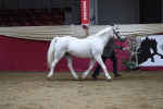 SBM_04946