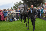 230823-Race 4-Mostahdaf-0413