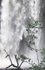 Henrhyd Waterfall