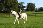 SBM_56494