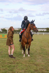 Class D: Showjumping Pony Intro 90cm portfolio