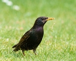 20110429-IMG_5161