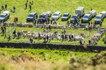 Ennerdale Show-13