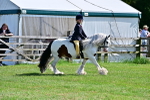SBM_09316