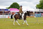 SBM_02608