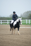 SBM_003387