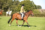 SBM_38986