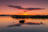 Reflections at Portaneena