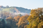 White Nancy from Spuley Lane (3)
