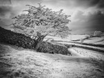 Dales Scene , Infrared