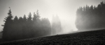 Light and Mist