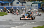 KARTING 2014 portfolio