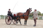 Class 6 - Exercise Vehicle 13.2 and over portfolio