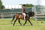 SBM_06809