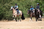 WJ6_9016