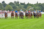 260823-Race 4-Absurde-0900