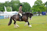 SBM_00904