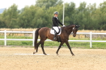 SBM_000627