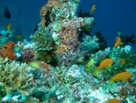 Aquarium