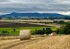 Bennachie from Folla Rule.