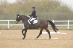 SBM_002037