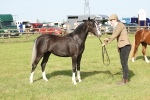 SBM_00709