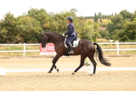 SBM_000279