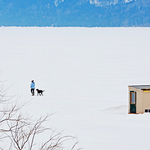 Walking the Dog Kennebecasis Ice Fishing New Brunswick Canada
