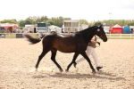 SBM_04637