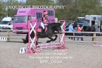 BPP_0934