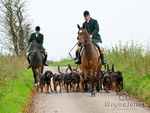 Berks & Bucks Joint meet New Forest Hounds – Milton Hill Farm 10-11-24 portfolio