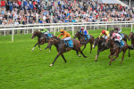 080925-Race 7-Canvas-7851