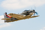 Skyraider