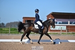Cls 33 FEI Freestyle Music Pony portfolio