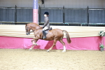 SBM_02206