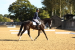 SBM_16541