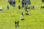 Ennerdale Show-11