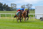 Race 3 3.00pm Metaxas Handicap portfolio
