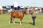 SBM_00648