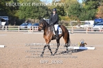 BPP_8088