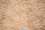 240720A-095102-13545
