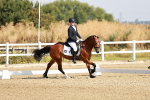 SBM_002280