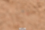 240121A-132223-00139