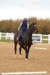SBM_000564