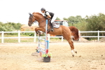SBM_003372