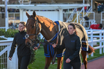 251025-Race 7-Crossgales King-0148