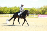 SBM_000201