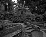 VIEW FROM THE TERRACE