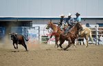 3HRodeo8-11-25_PRCASteer_05741_
