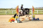 SBM_000146